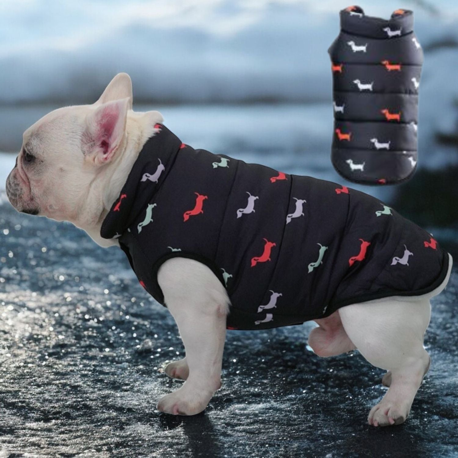 EverPeak Ultimate Warmth Puffer Jacket for French Bulldogs
