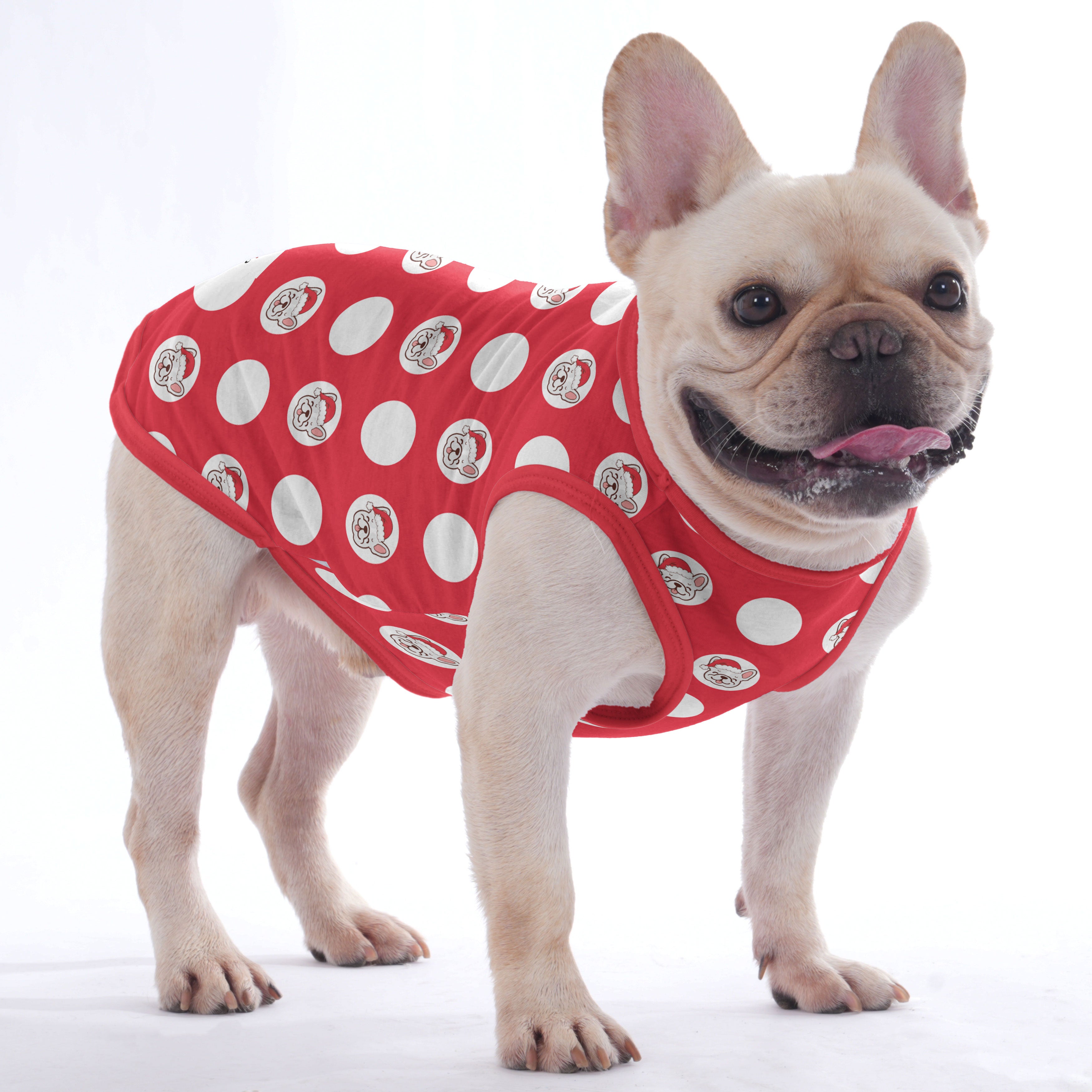 Papillon - Shirt for Frenchies - Frenchie Shop Original