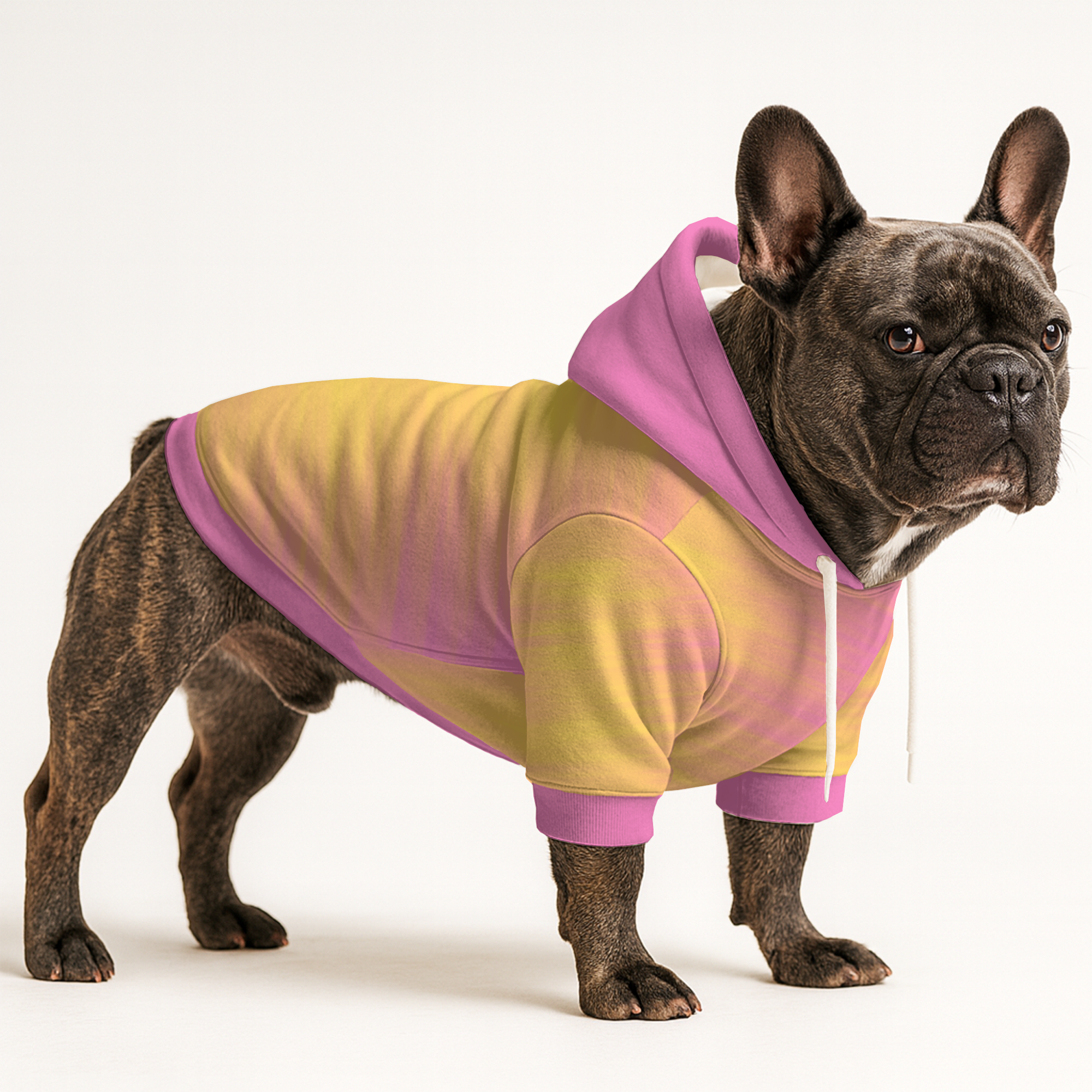 Momo - Frenchie Lover Frenchie Hoodie For Frenchie Fans | Trendy Style