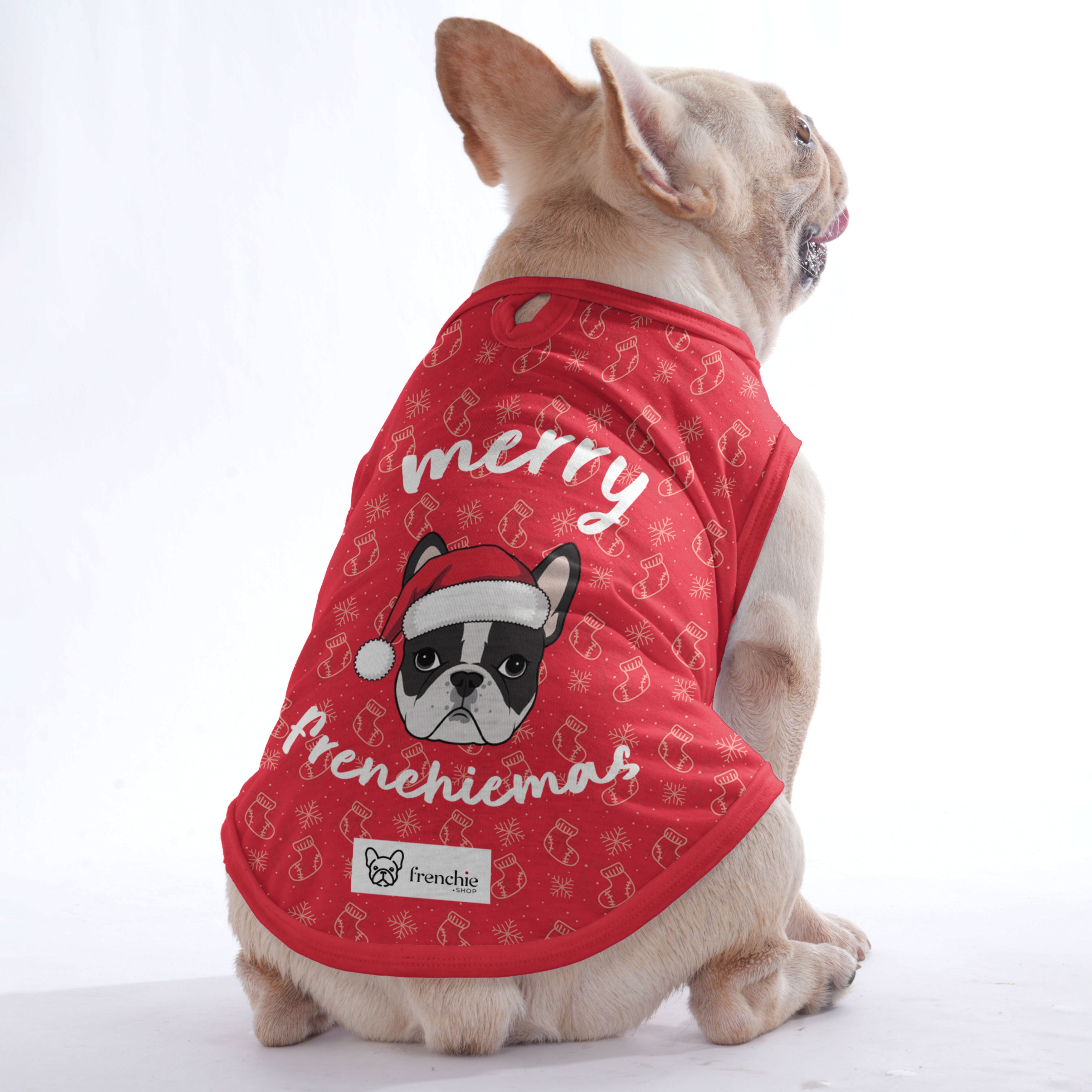 Velvet - Shirt for Frenchies - Frenchie Shop Original