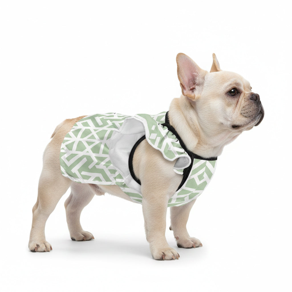Stylish Kaia - French Bulldog Dresses For Females as a Gift Premium