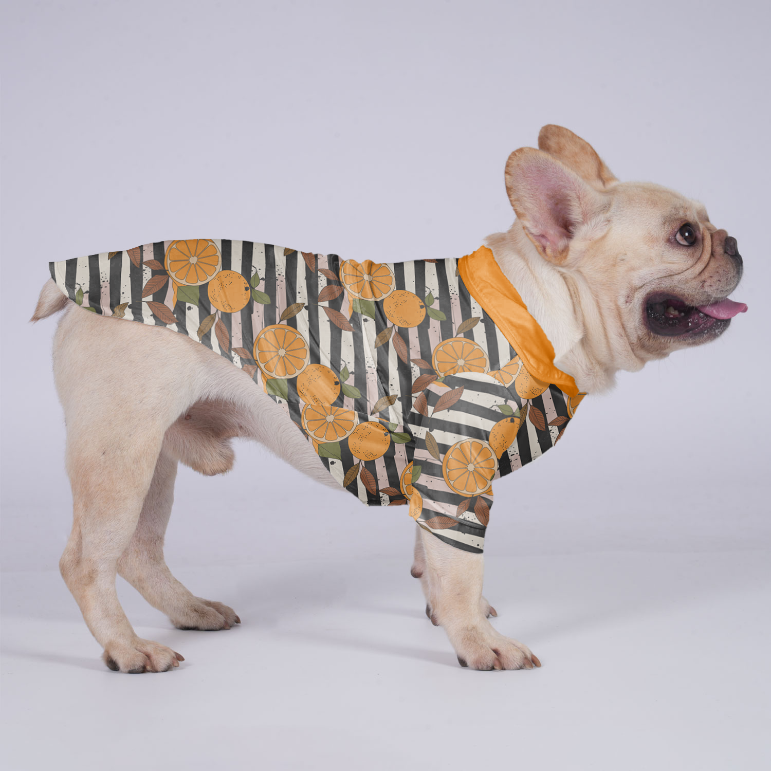Frenchie-Fan Bruno - Hawaiian Shirt For Frenchies for Everyday Wear