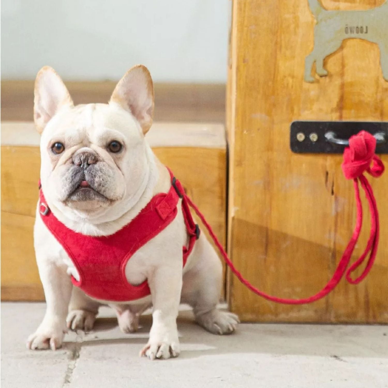French Bulldog Bulldofit Luxury Suede Frenchie Harness – Breathable