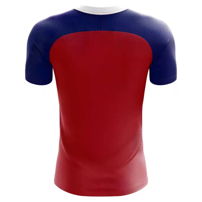 Replica 2025-2026 Samoa Home Concept Football Shirt - Womens