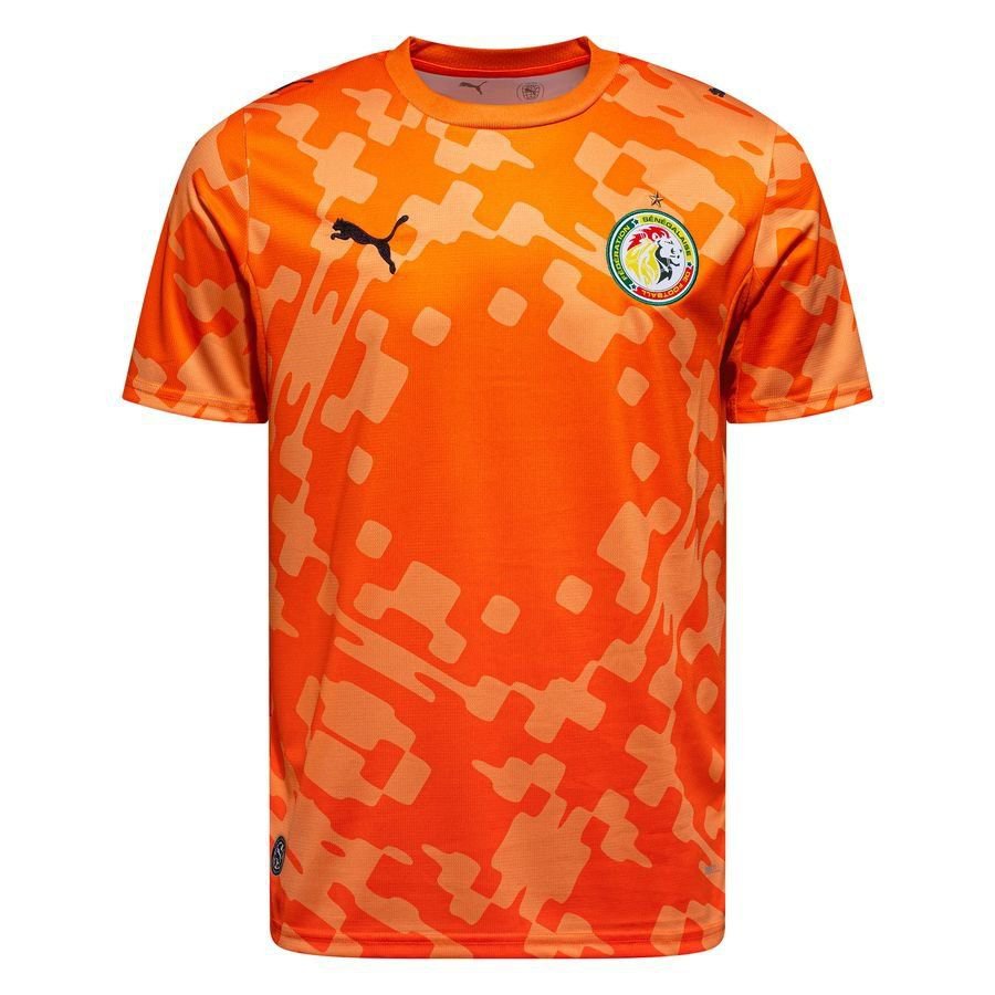 [EFKS] 2026 Senegal WC Goalkeeper Kit