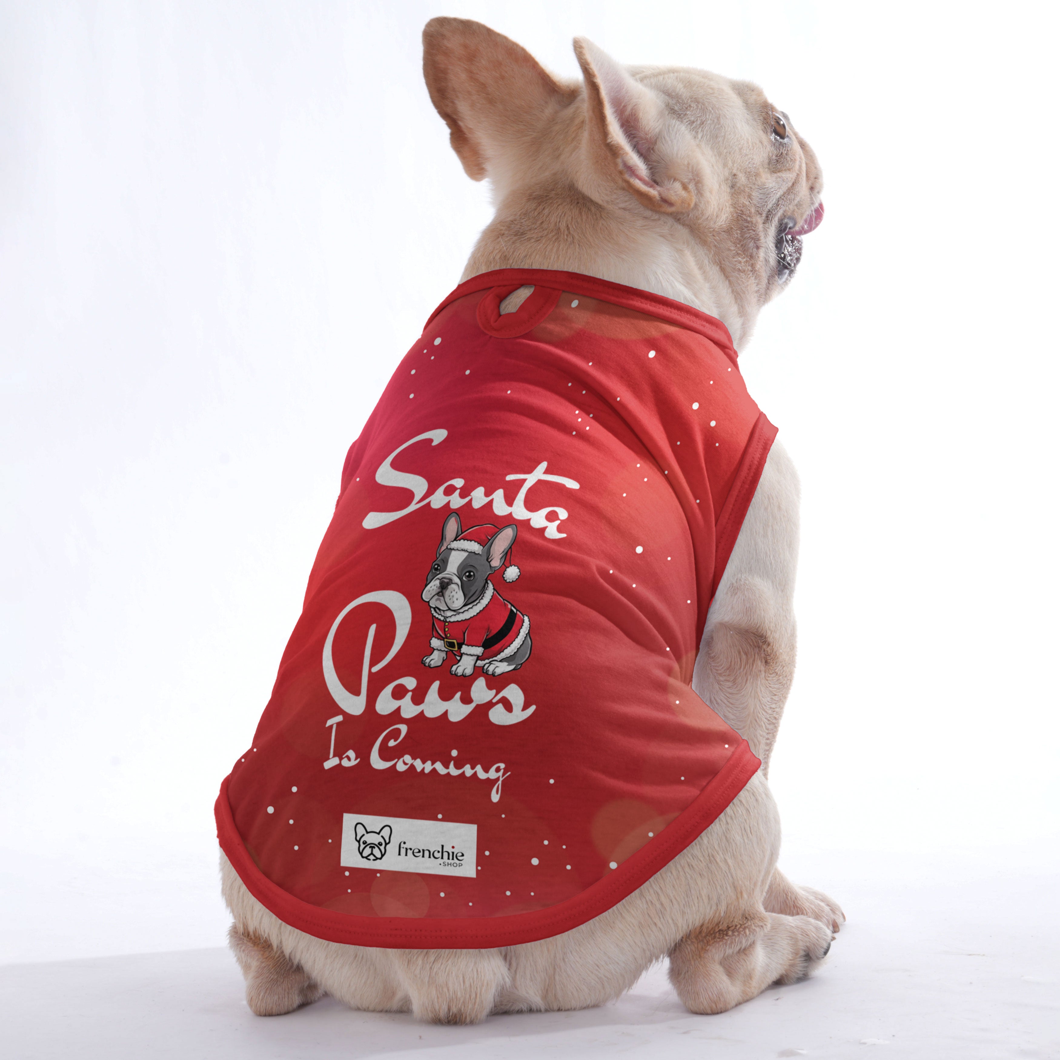 Rachelle - Shirt for Frenchies - Frenchie Shop Original