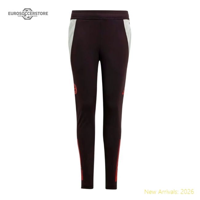 2024-2025 Bayern Munich Training Pants (Shadow Maroon) - Kids