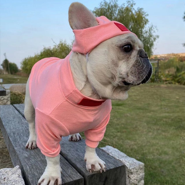 French Bulldog French Bulldog Undershirt Elastic Hoodie With Hat Durable Dog Item