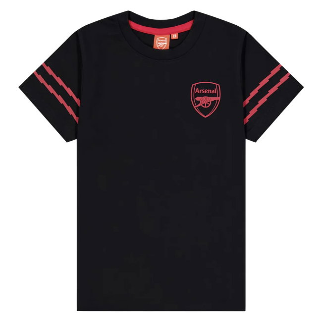 Arsenal Graphic supporter T-Shirt (Youth