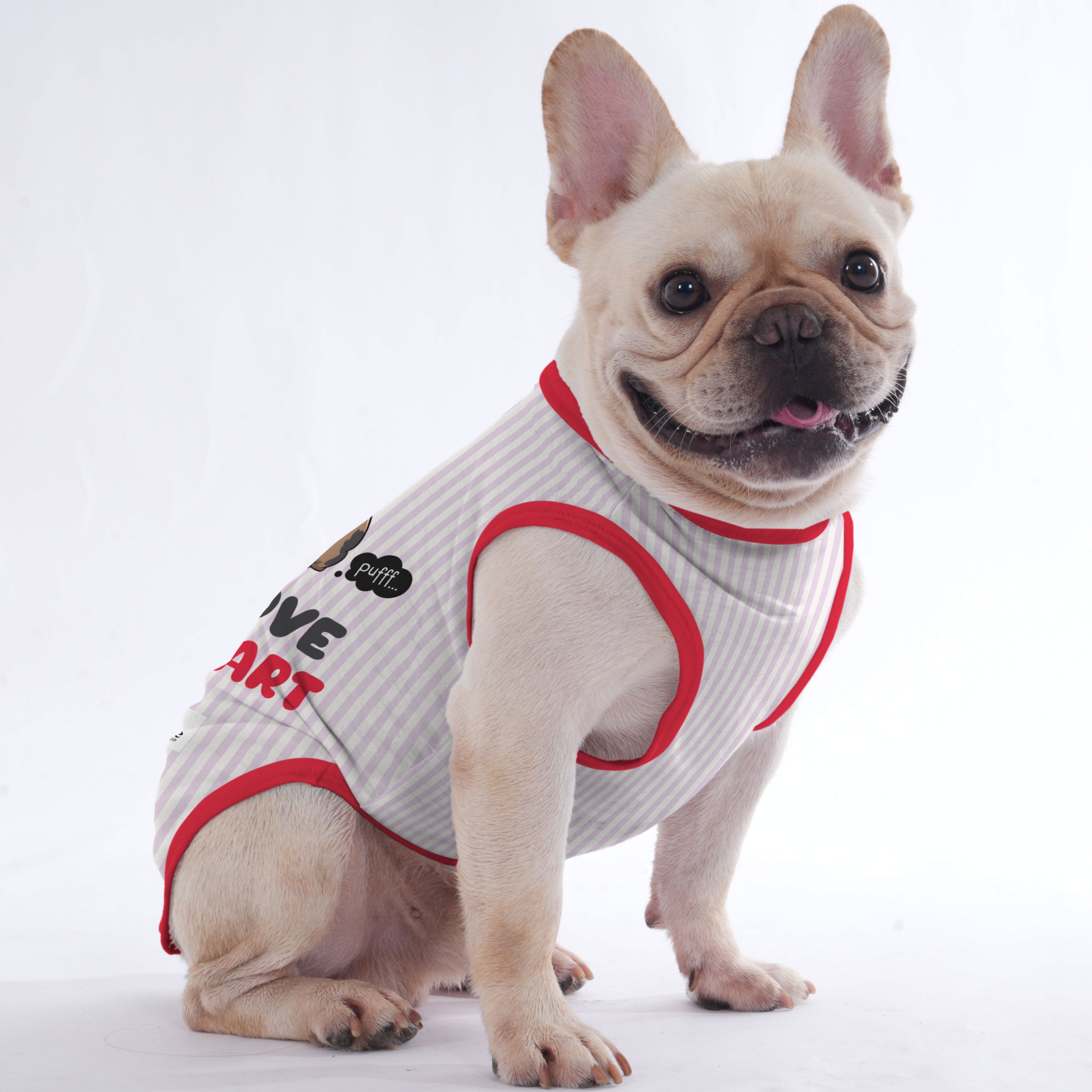 Mansel - Shirt for Frenchies - Frenchie Shop Original
