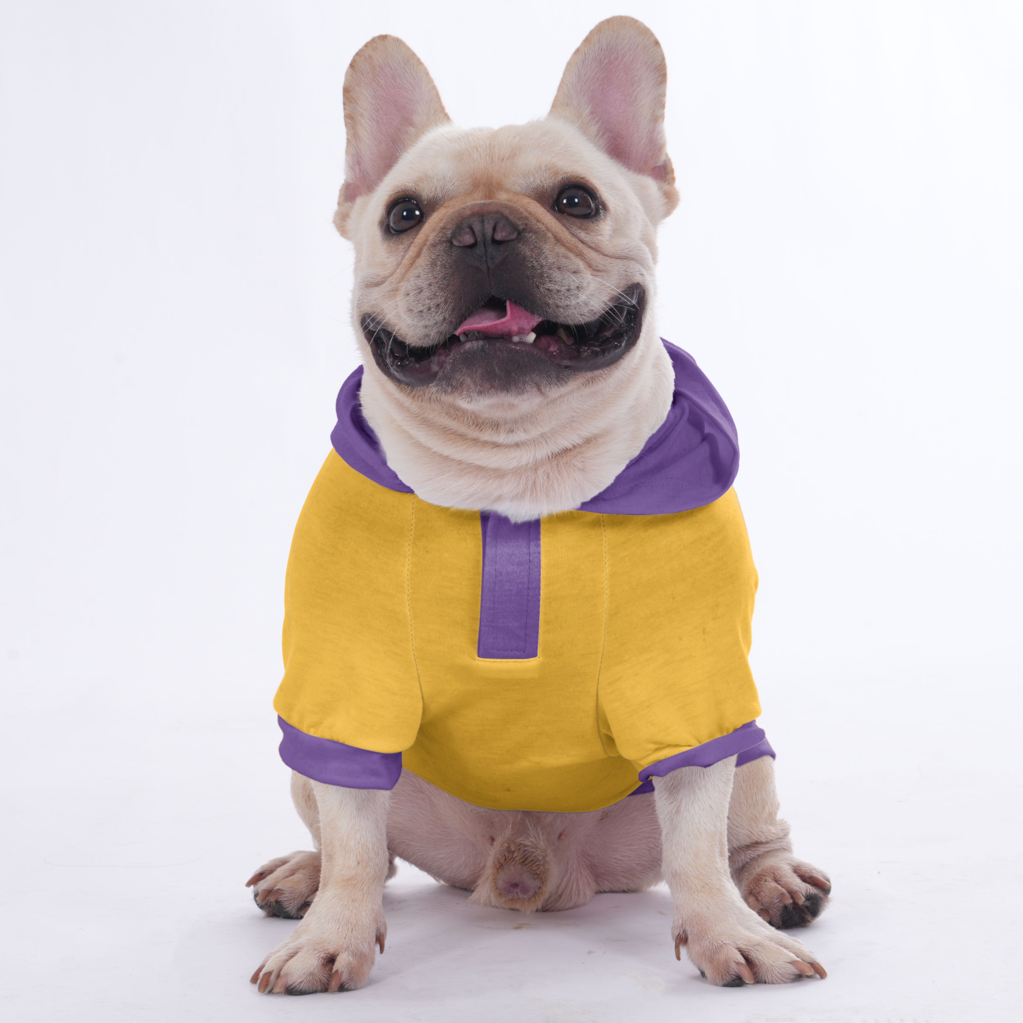 Your Pet’s Name & Number | Frenchie Shop Original Frenchie Themed Wear