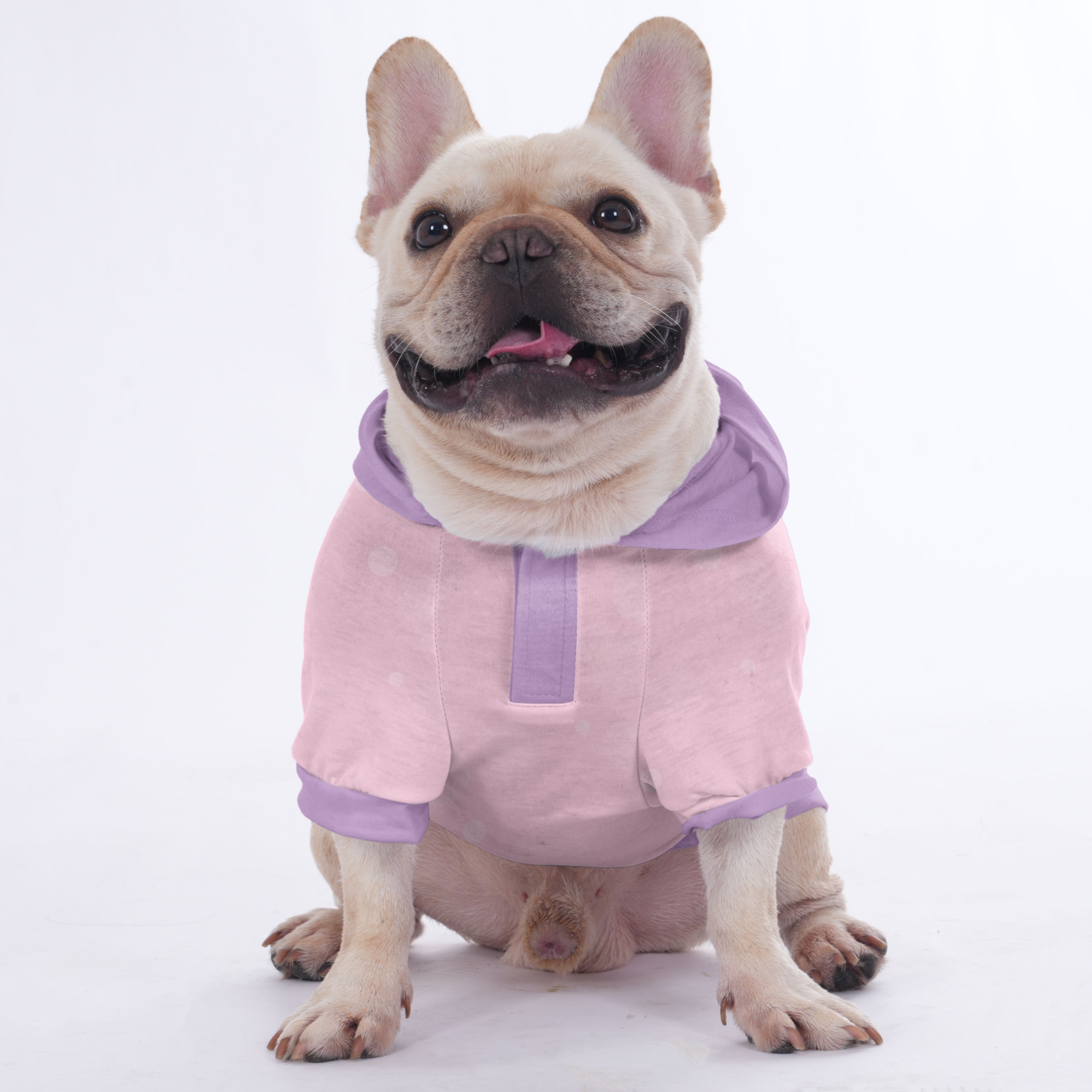 - Trendy Hoodies For French Bulldog | Frenchie Shop Original Casual Wear