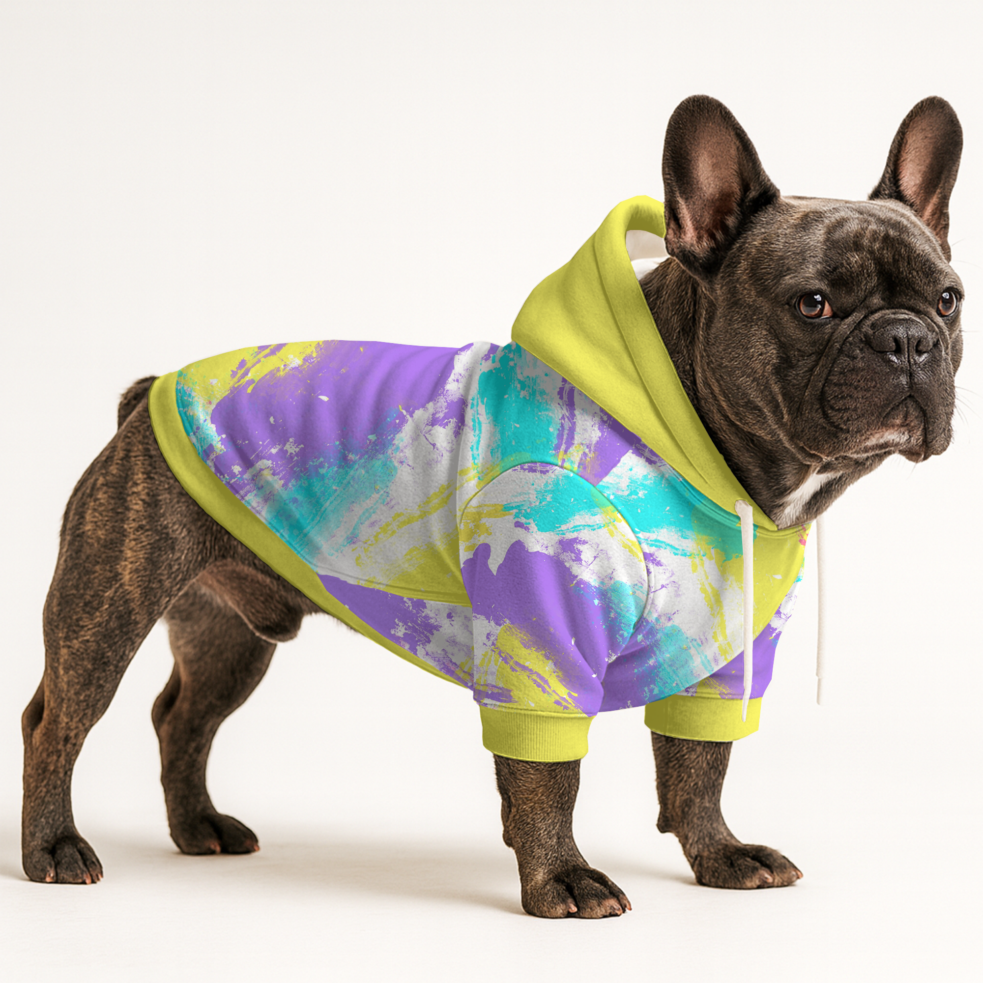 French Bulldog Tito Frenchie Hoodie Useful Frenchie Gear