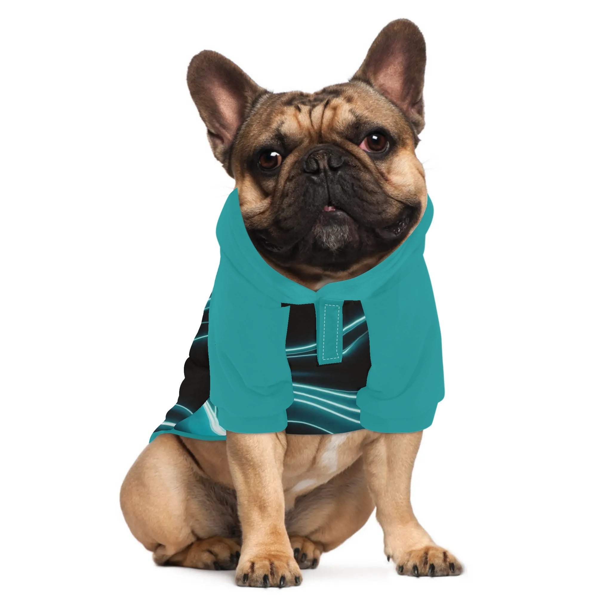 Gunther - Hoodies for French Bulldog | Frenchie Shop Original