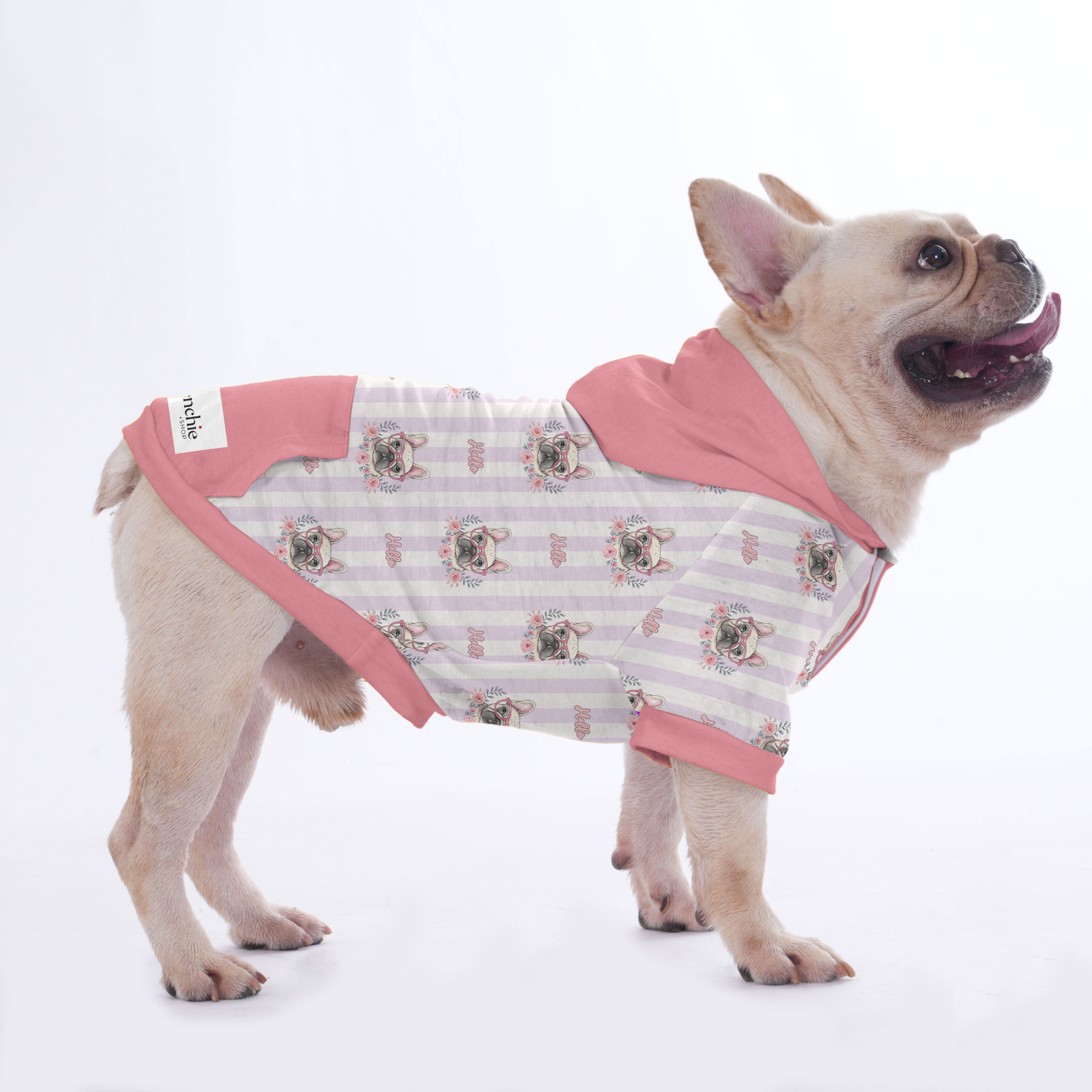 Fashion-Forward Chowder - Hoodies For French Bulldog | Frenchie Shop ...
