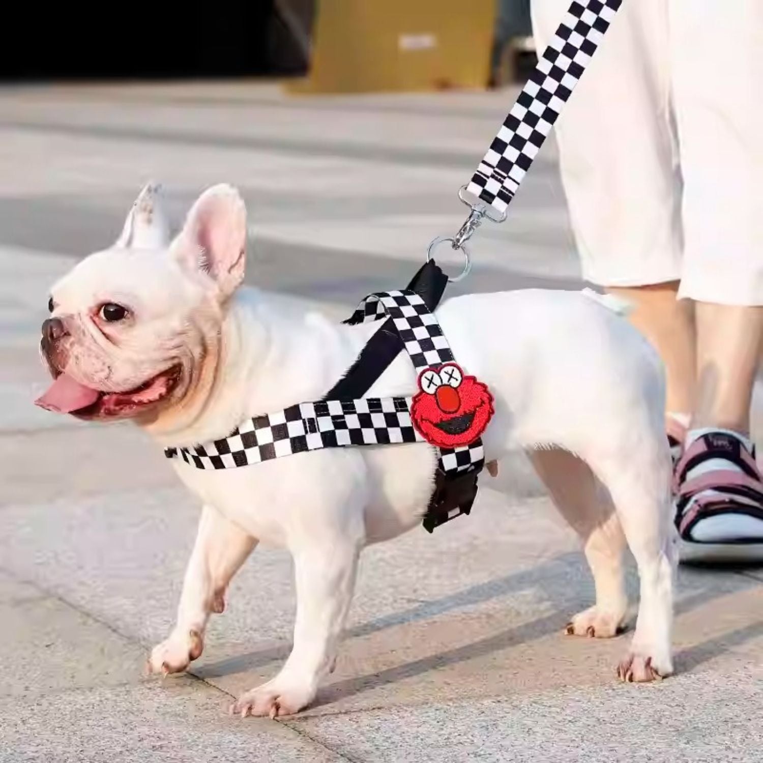 Breed-Designed Pupjoy Comfort Fit Frenchie Harness With Secure Buckle...