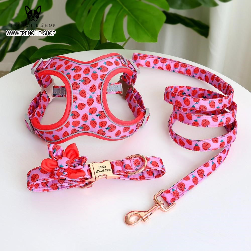 Fruit Harness for French Bulldog (W321)