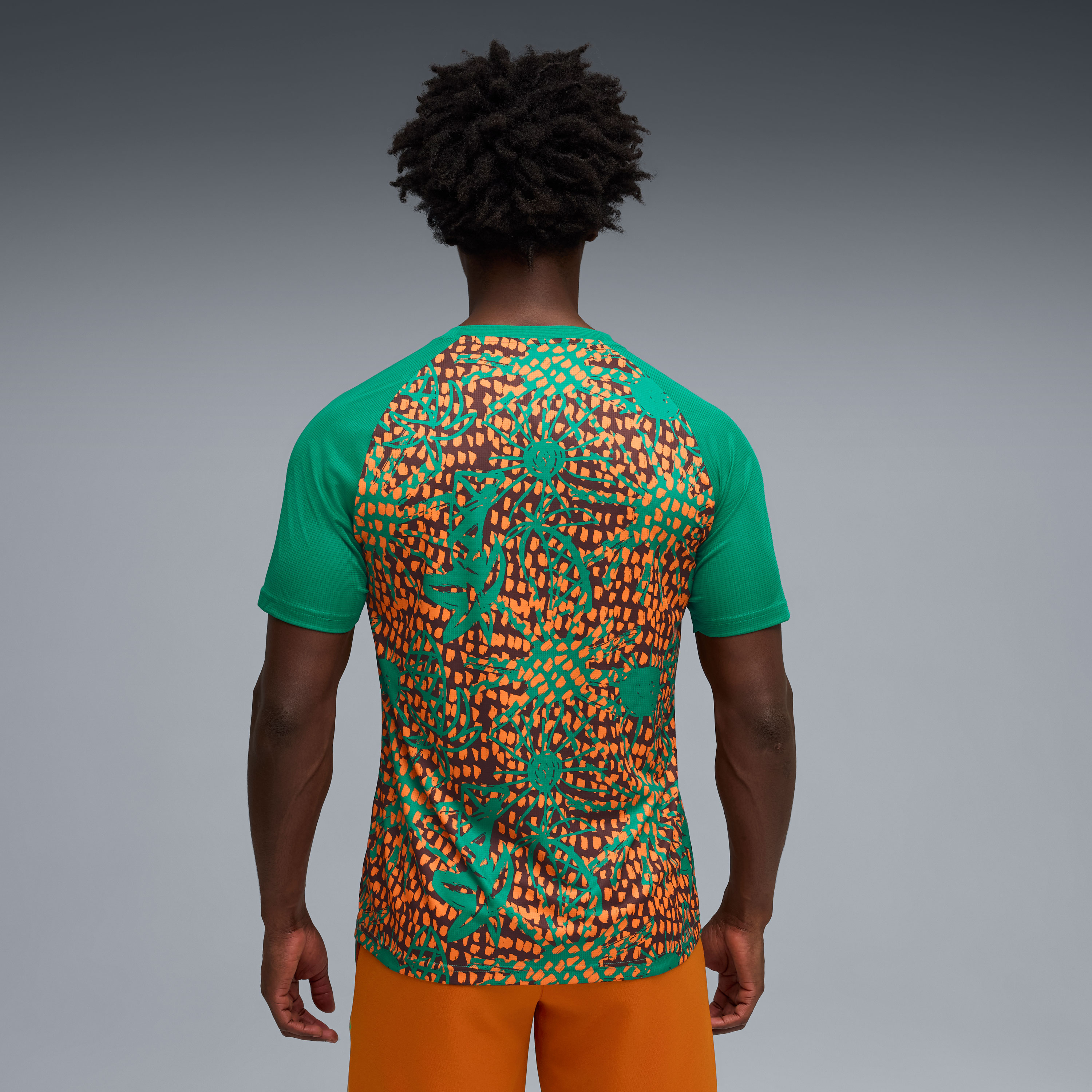 [SJH] Ivory Coast National Team 2026 Pre-Match Jersey Top - Green