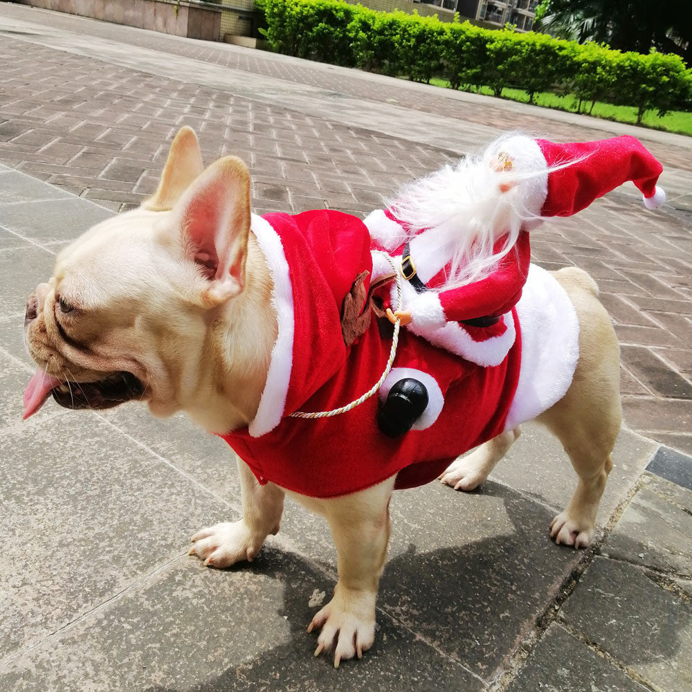 Christmas - Comfortable Funny Frenchie Clothes Paw Protection