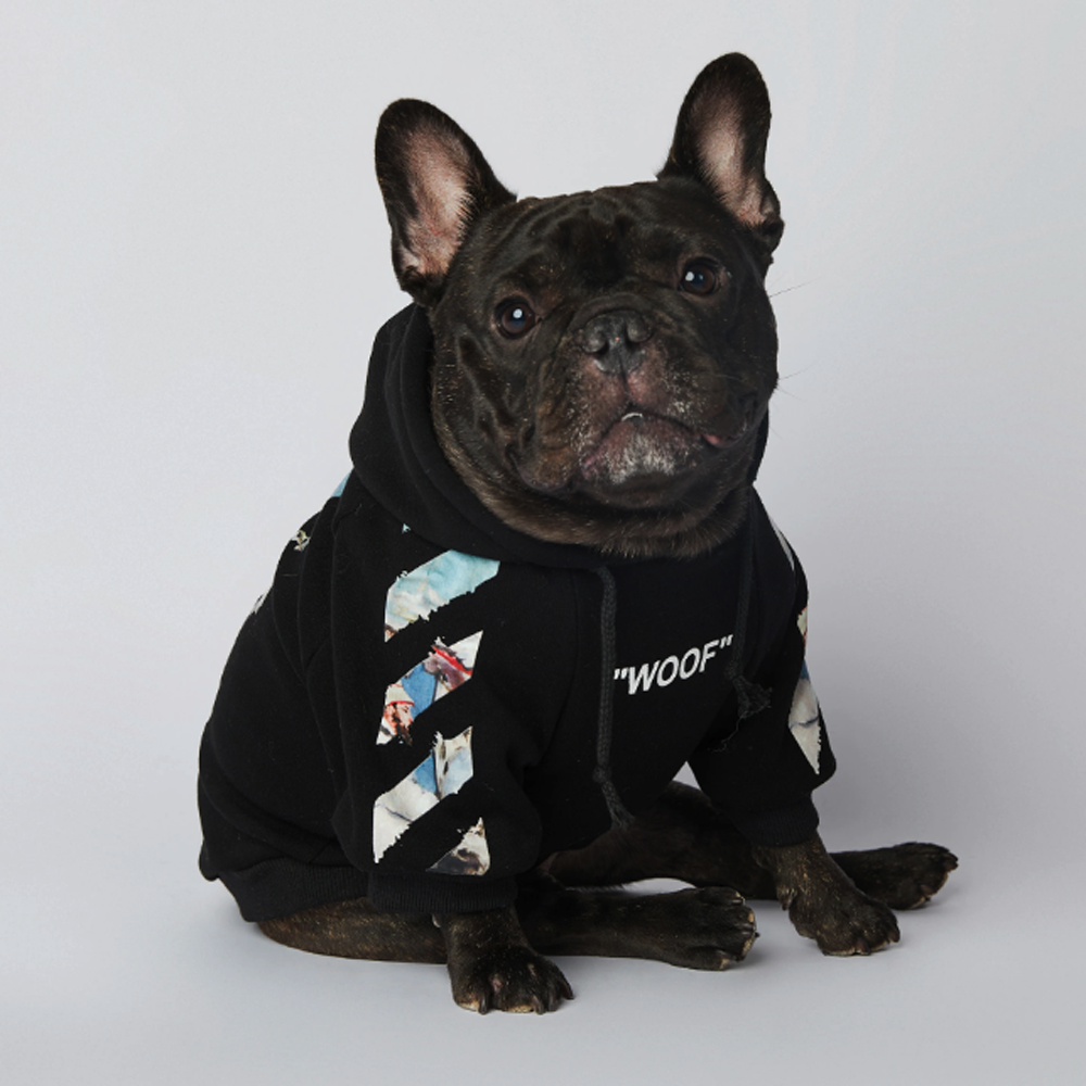 Premium Frenchdot™ - French Bulldog Woof Hoodie V4 for French Durable