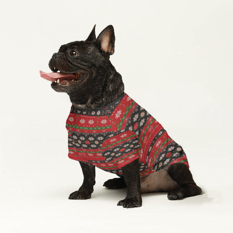 Fashion-Forward Bonnie - Wool Sweater For Frenchies - Ugly Christmas ...