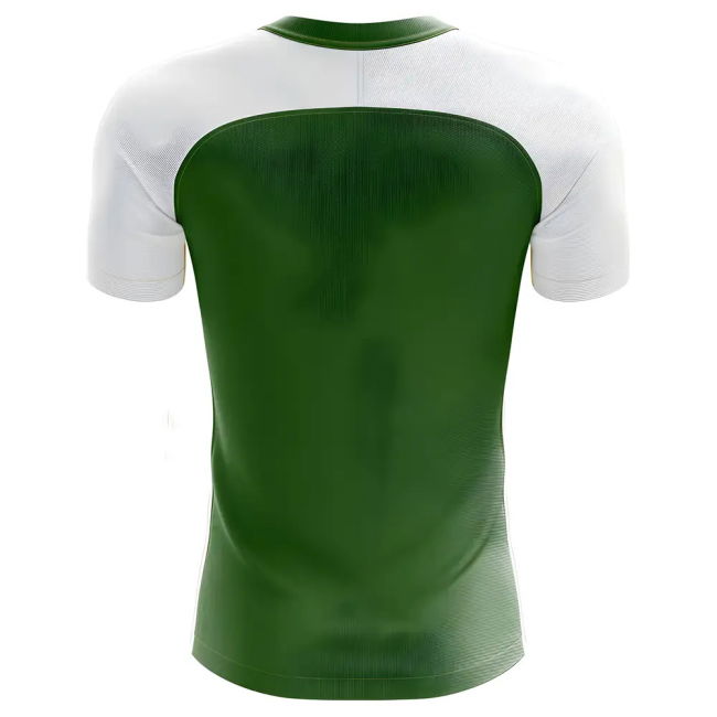 Championship 2025-2026 Suriname Home Concept Football Shirt