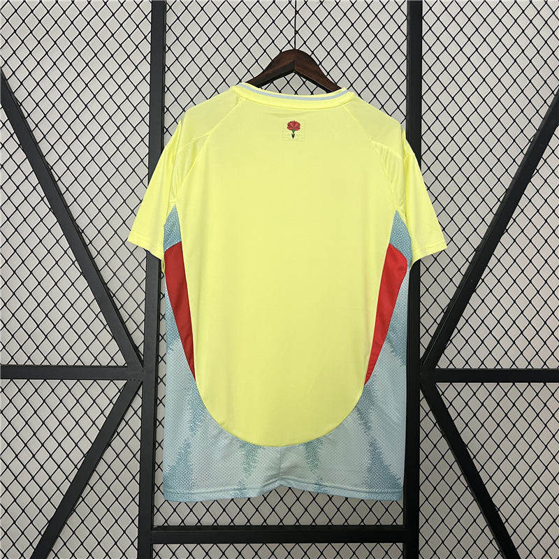 Authentic Licensed Lightweight Spain UEFA Euro 2024 Away Shirt