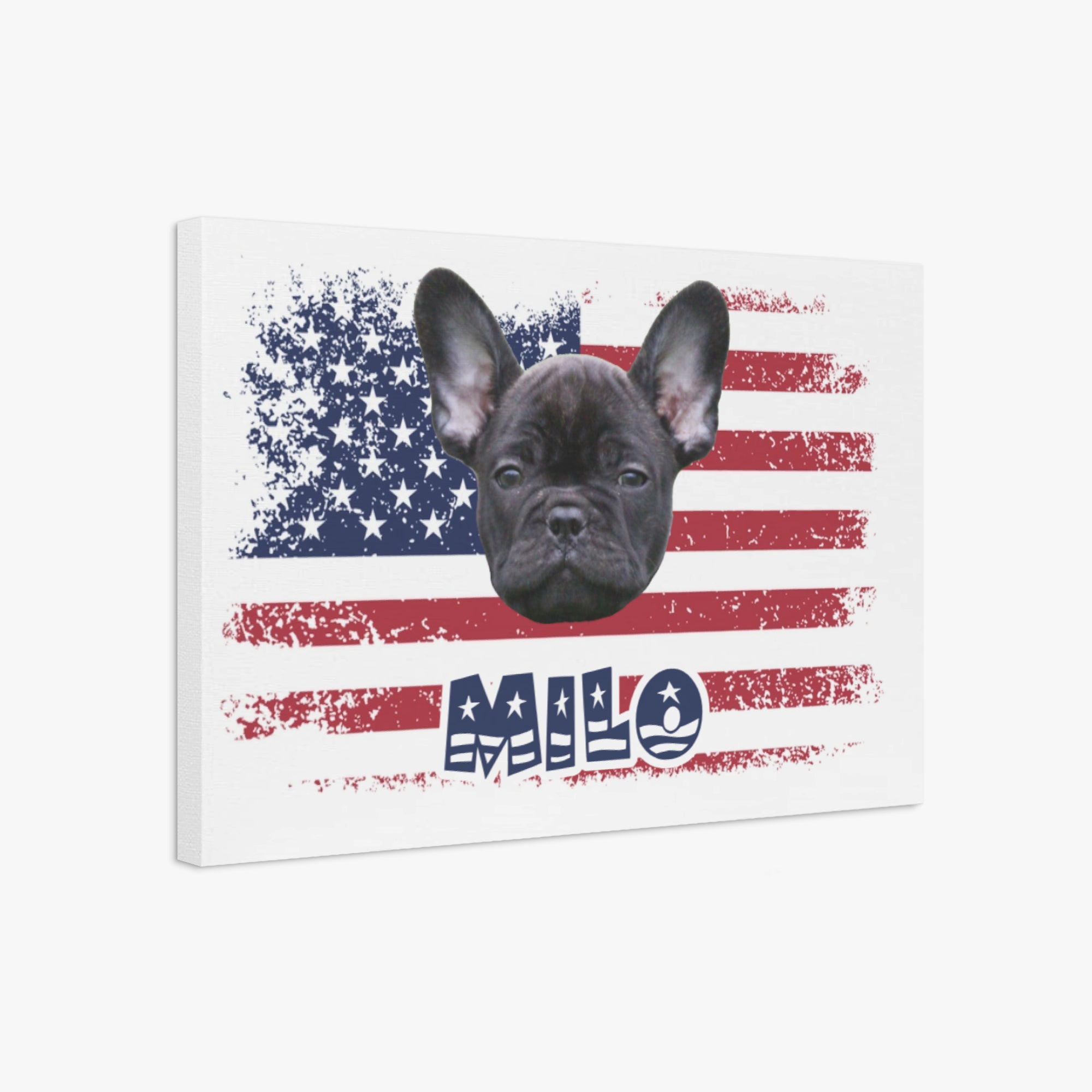 Steel - Personalized Adorable Frenchie Canvas Wall Art