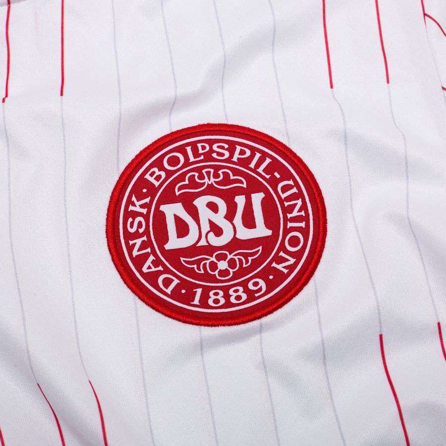Denmark Away Shirt 2026/27 Kids Long Sleeves