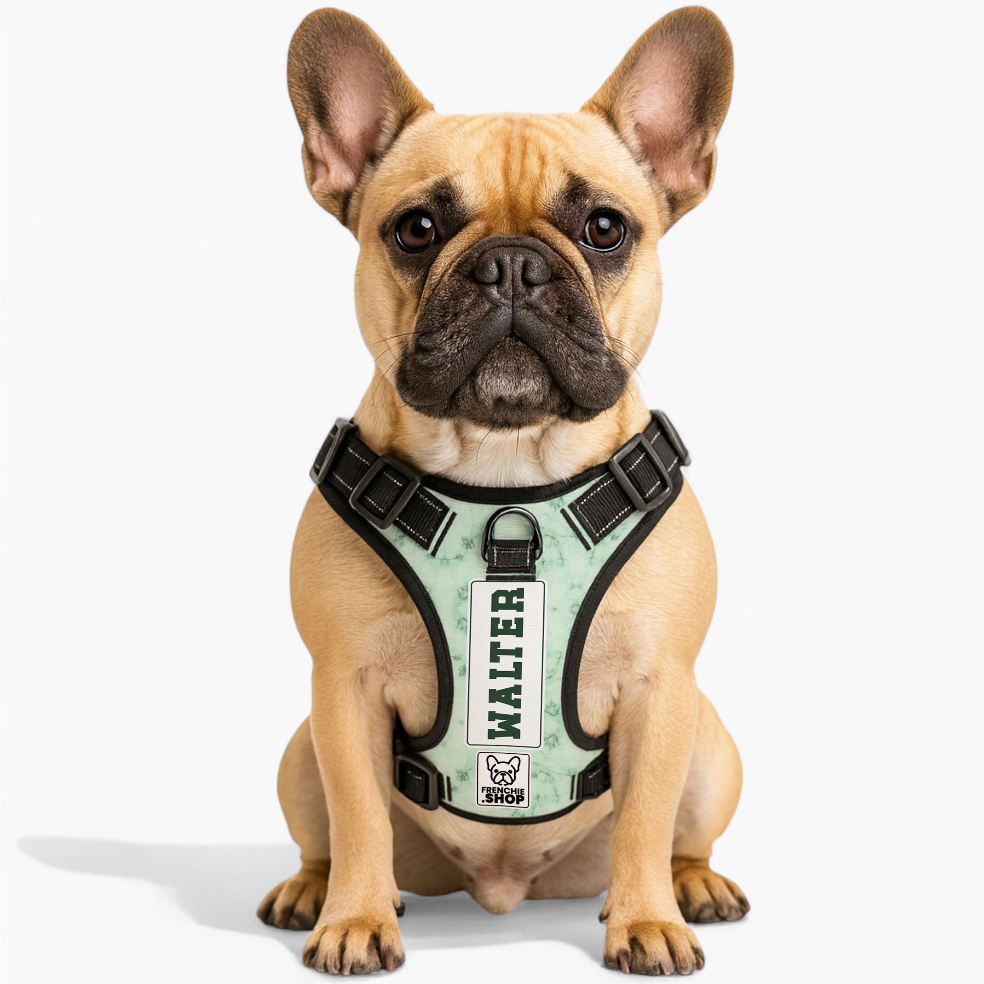 No-pull French Bulldog Dog Harness Summer Wear | Safe For Paws