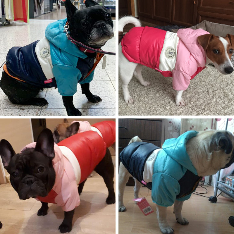 French Bulldog Winter Coat Waterproof Coat For French Bulldog (cs032) Warm Dog Outfit