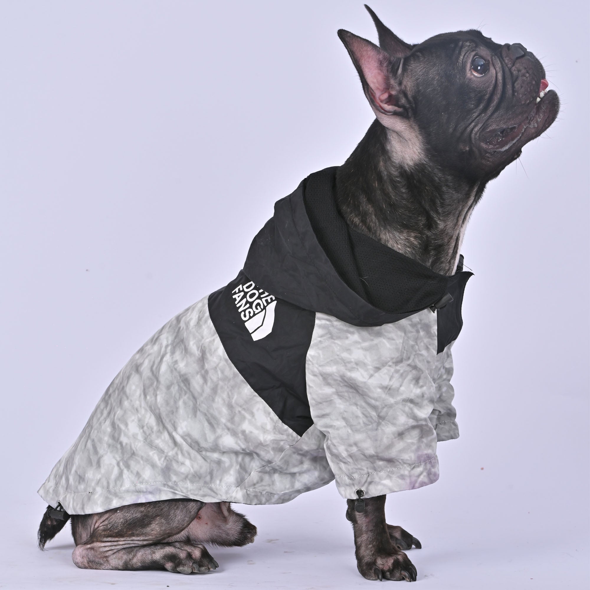 Petque™ - Frenchie Trendy Raincoat (WL08)