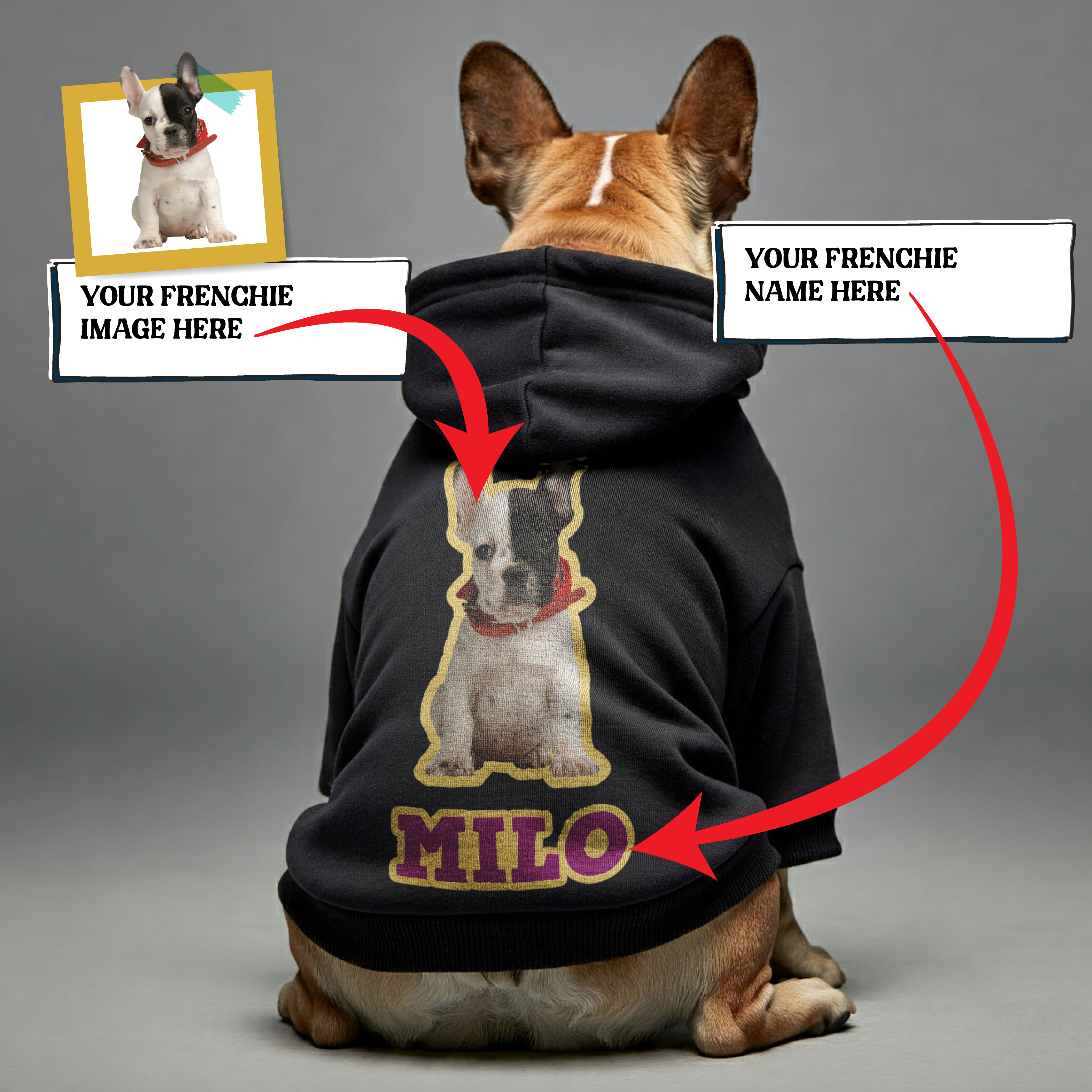 Cozy, And Premium 100% Cotton Frenchie Themed Wear | Premium Quality