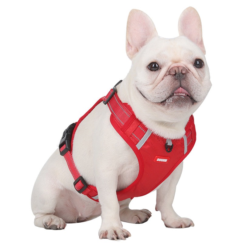 Reflective Lead Straps (ws 0723) For Frenchie Pups | Non-slip Design