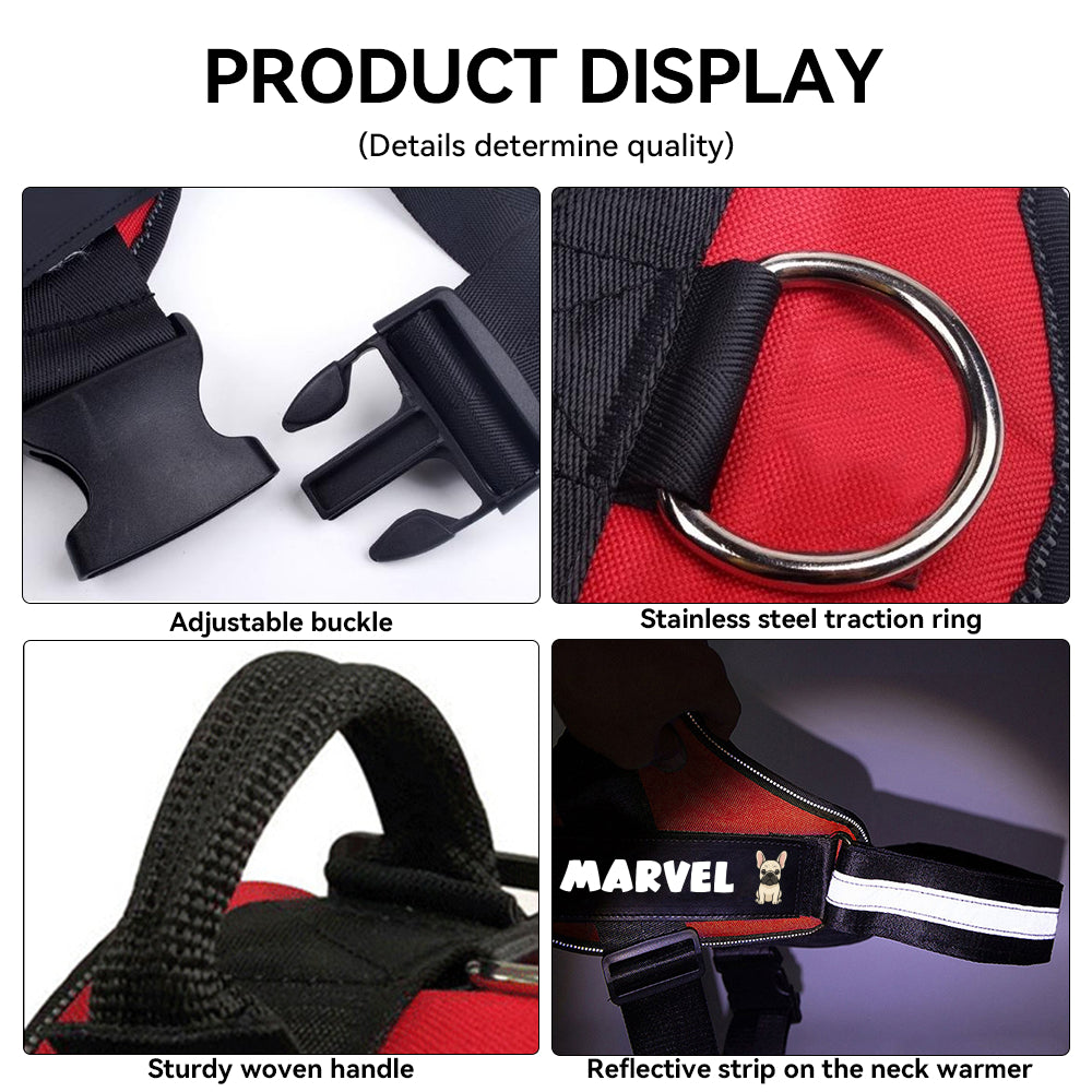 French Bulldog Maxie Personalized French Bulldog Harness Practical Dog Gear
