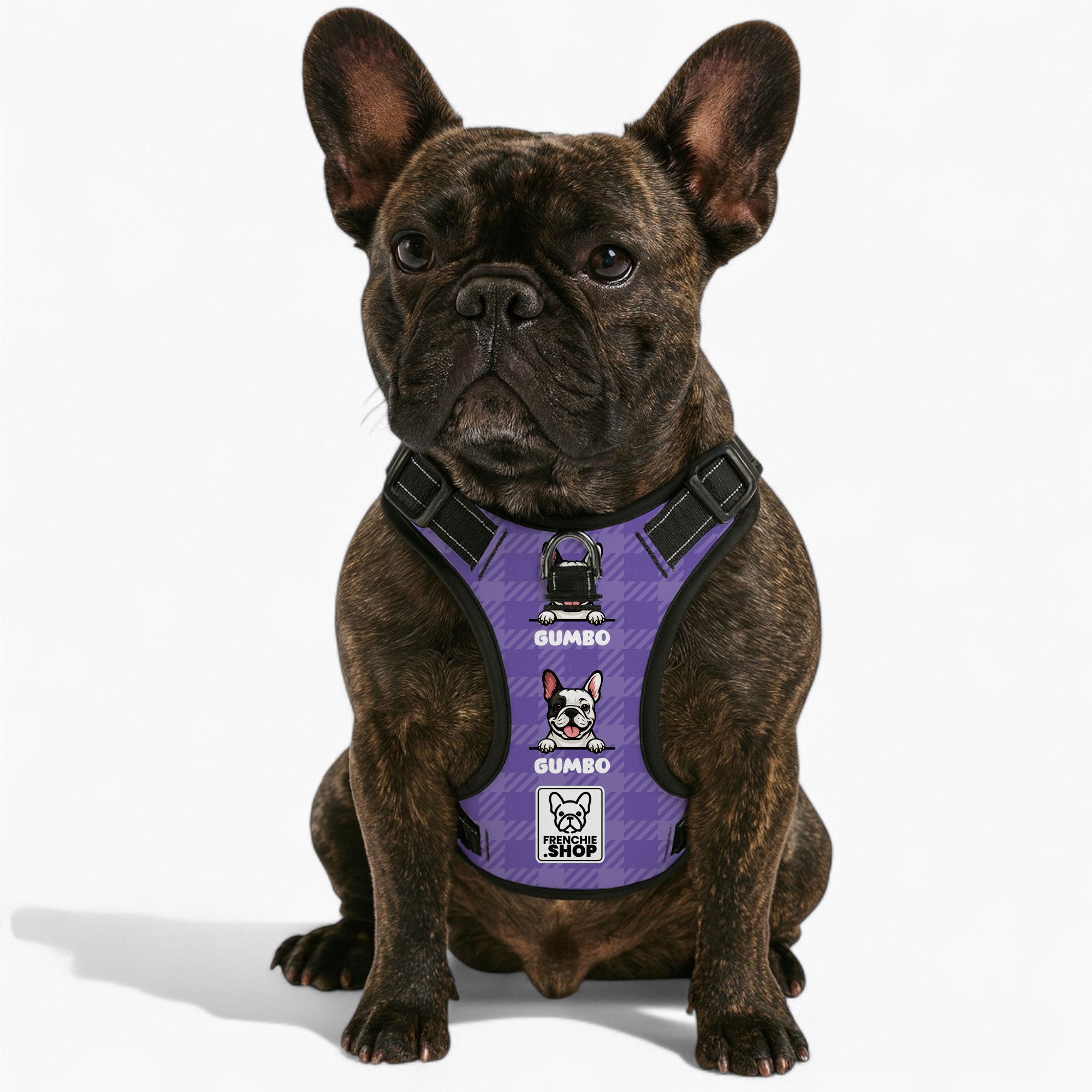 Personalized No-pull French Bulldog Dog Harness Pet Gear | Durable Build