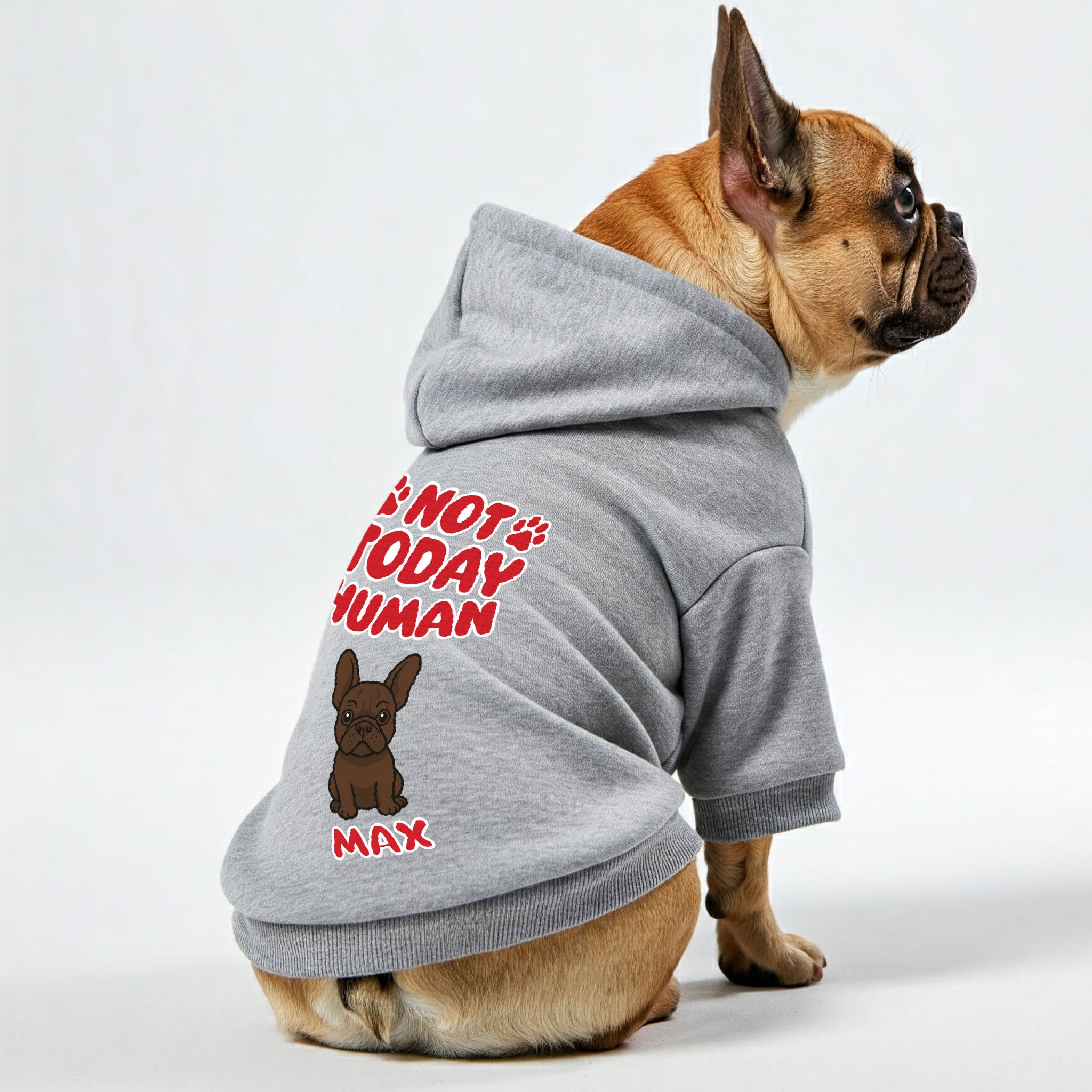 Lifestyle-Driven Not Today - Personalized French Bulldog Hoodies With...