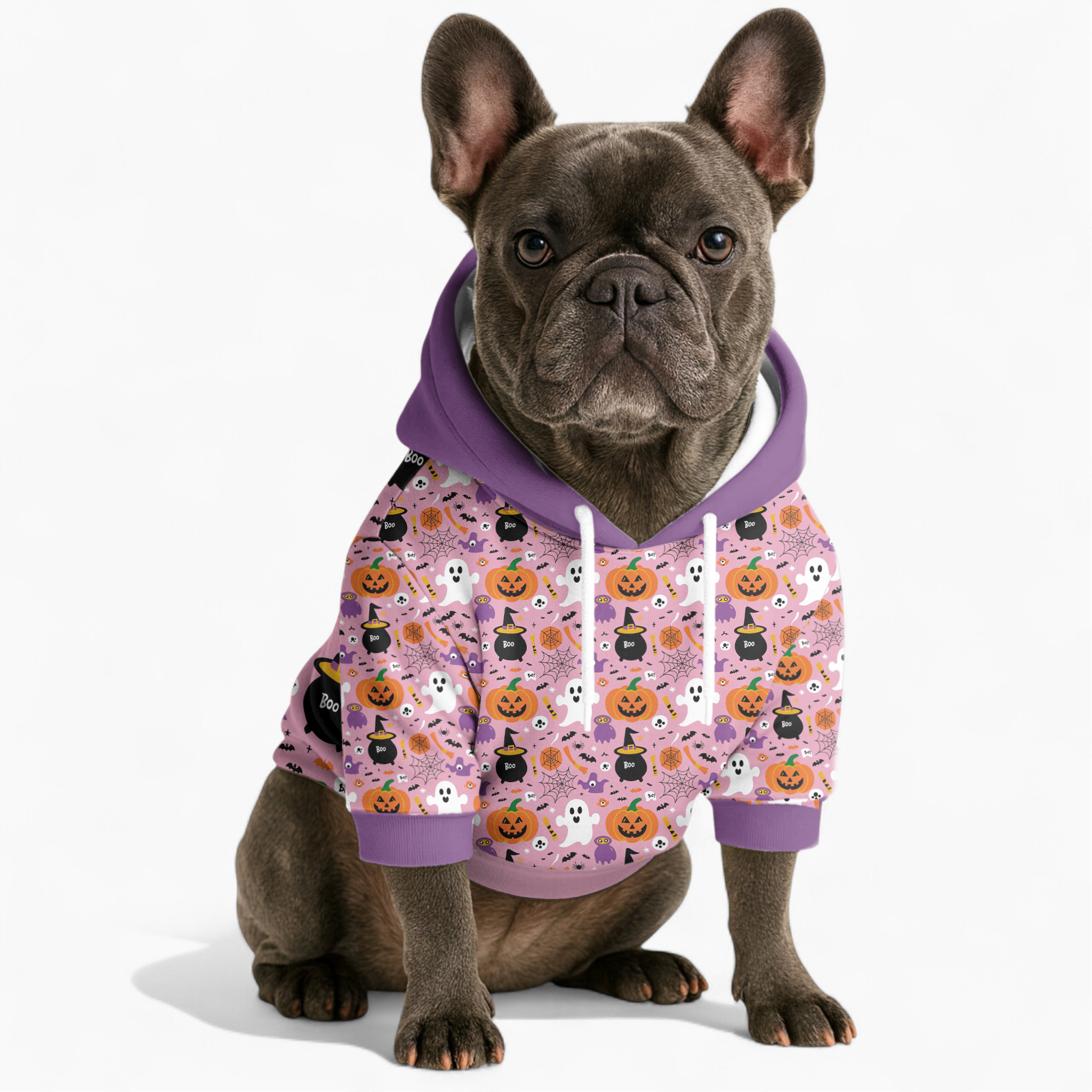 Ace - Dog Owner Frenchie Hoodie For Dog Lovers | Comfy Fit