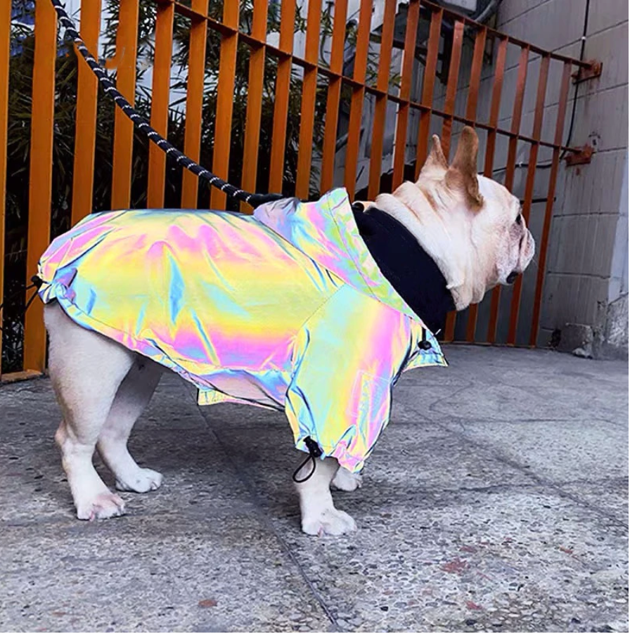 Fashion-Forward Reflective French Bulldog Jacket (ws39) as a Gift