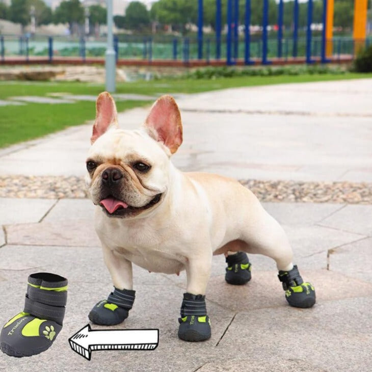 Pet-Lover Pupluxe Frenchie Booties With Reflective Straps for Home Use