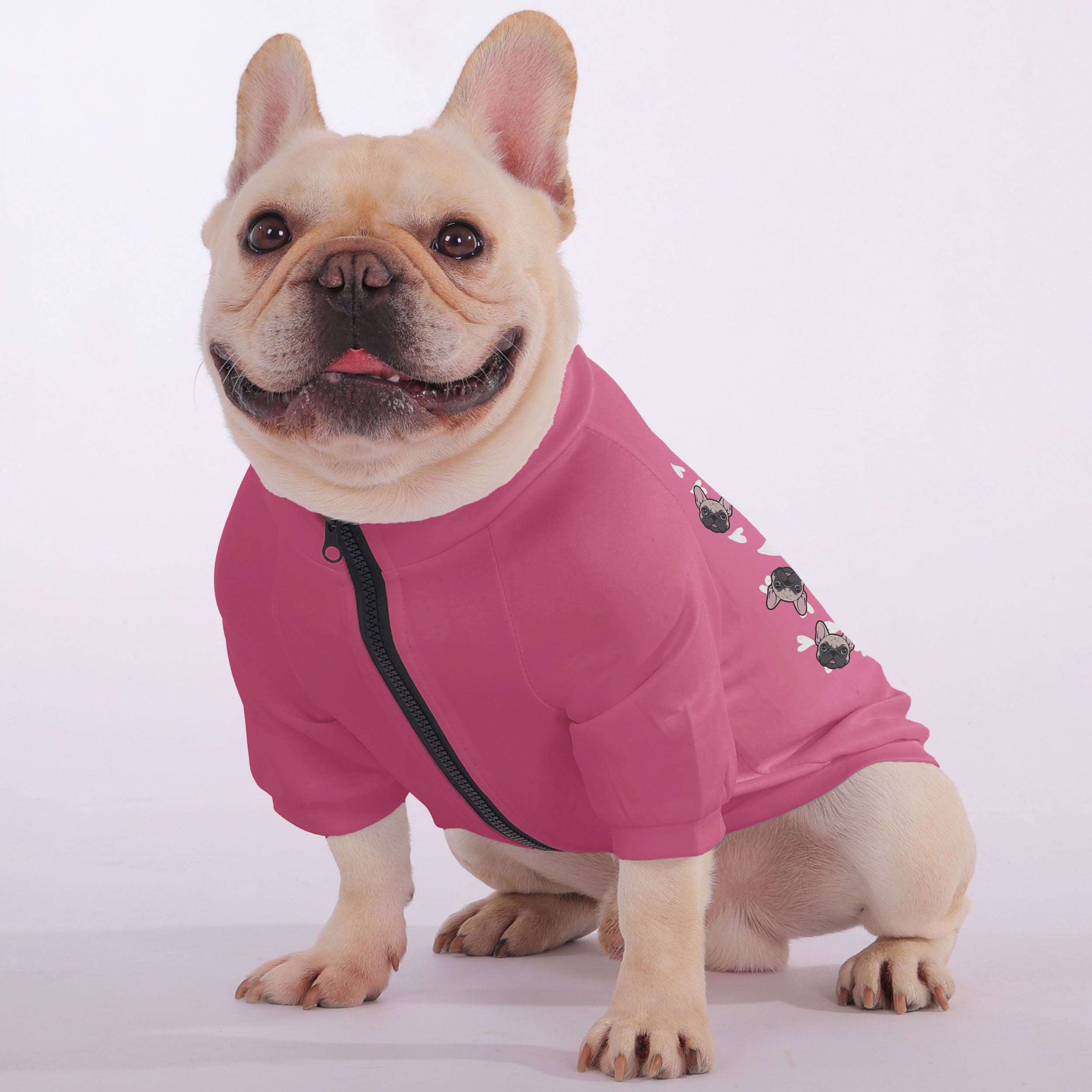 Sweatshirt For French Bulldogs For Frenchie Fans | Premium Quality