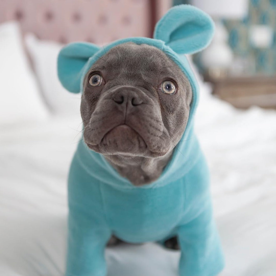 Not My Fault - Hoodie for Frenchie (CS8)