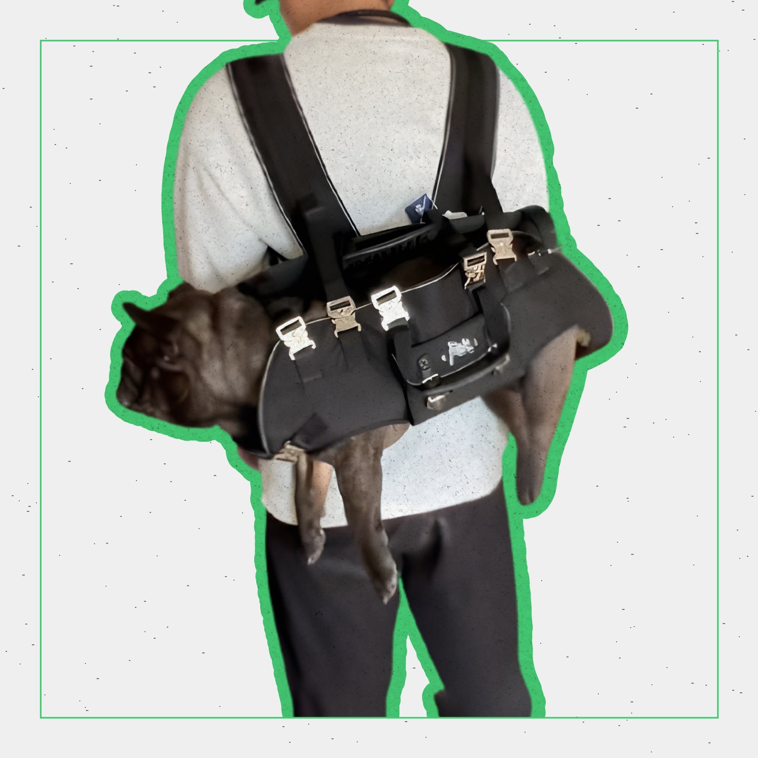 Portable Lightweight And Secure Pet Carrier Bag Pet Gear | Durable Build