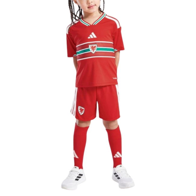 Officially Licensed 2026-2027 Wales Home Mini Kit (Your Name)