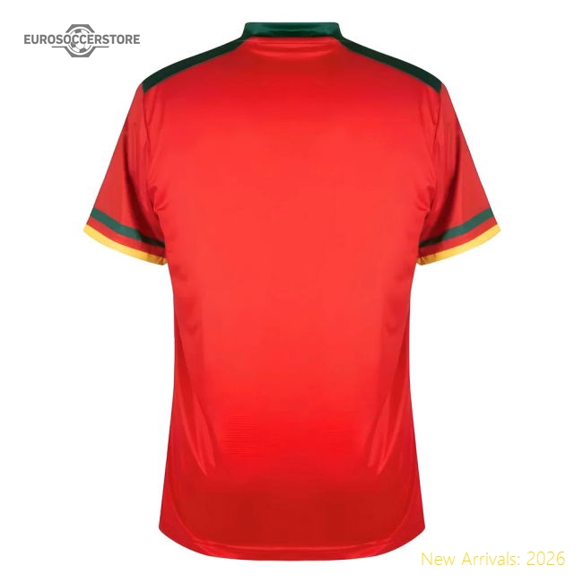 Elite 2022-2023 African Giants Third Pro Football Shirt