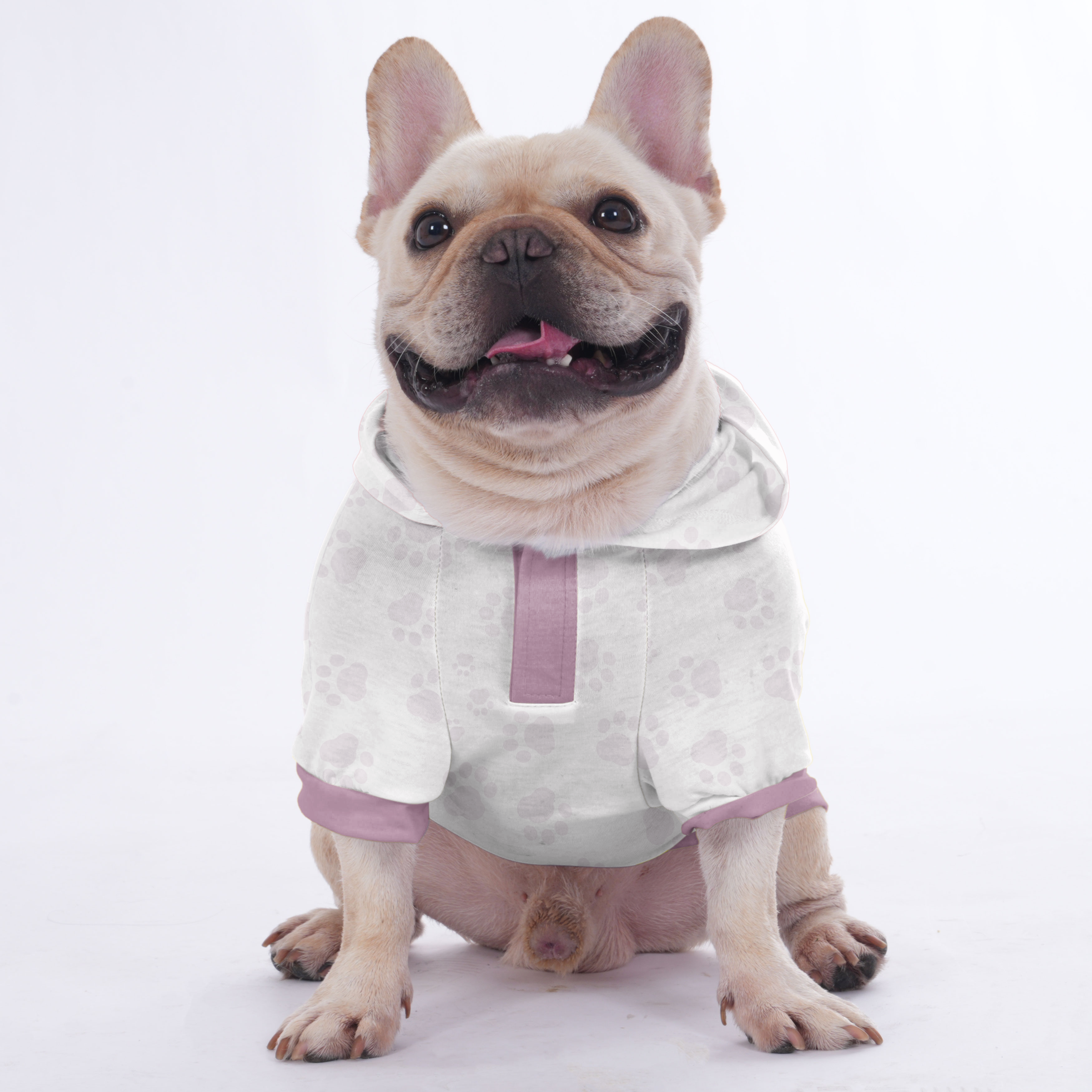 French Bulldog | Frenchie Shop Original For Dog Lovers | Durable Build