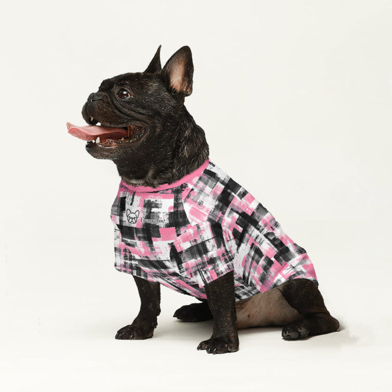 Trendy Stylish Declan - Wool Sweater For Frenchies for Daily Life