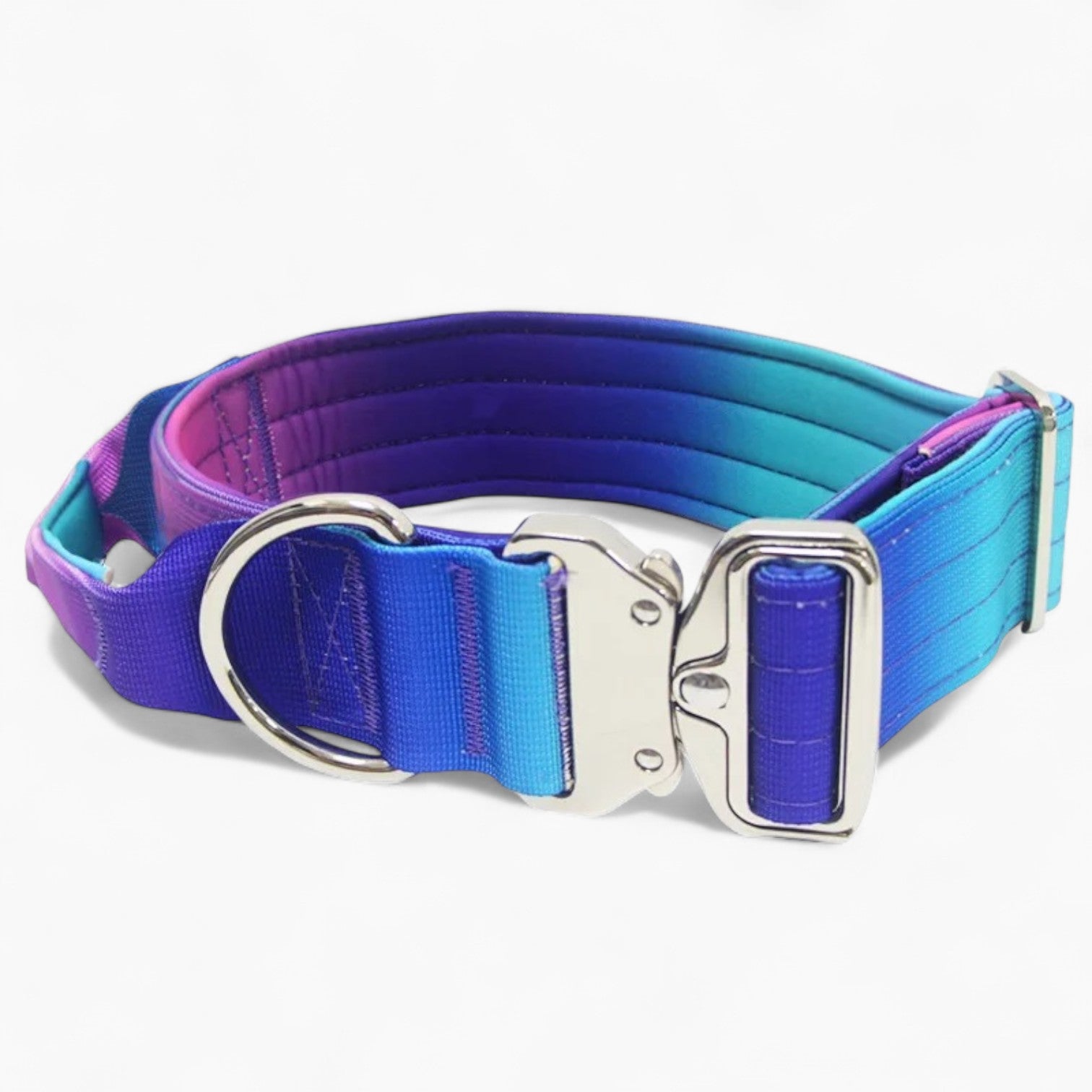 French Bulldog Tactipup French Bulldog Gradient Collar And Leash Set –