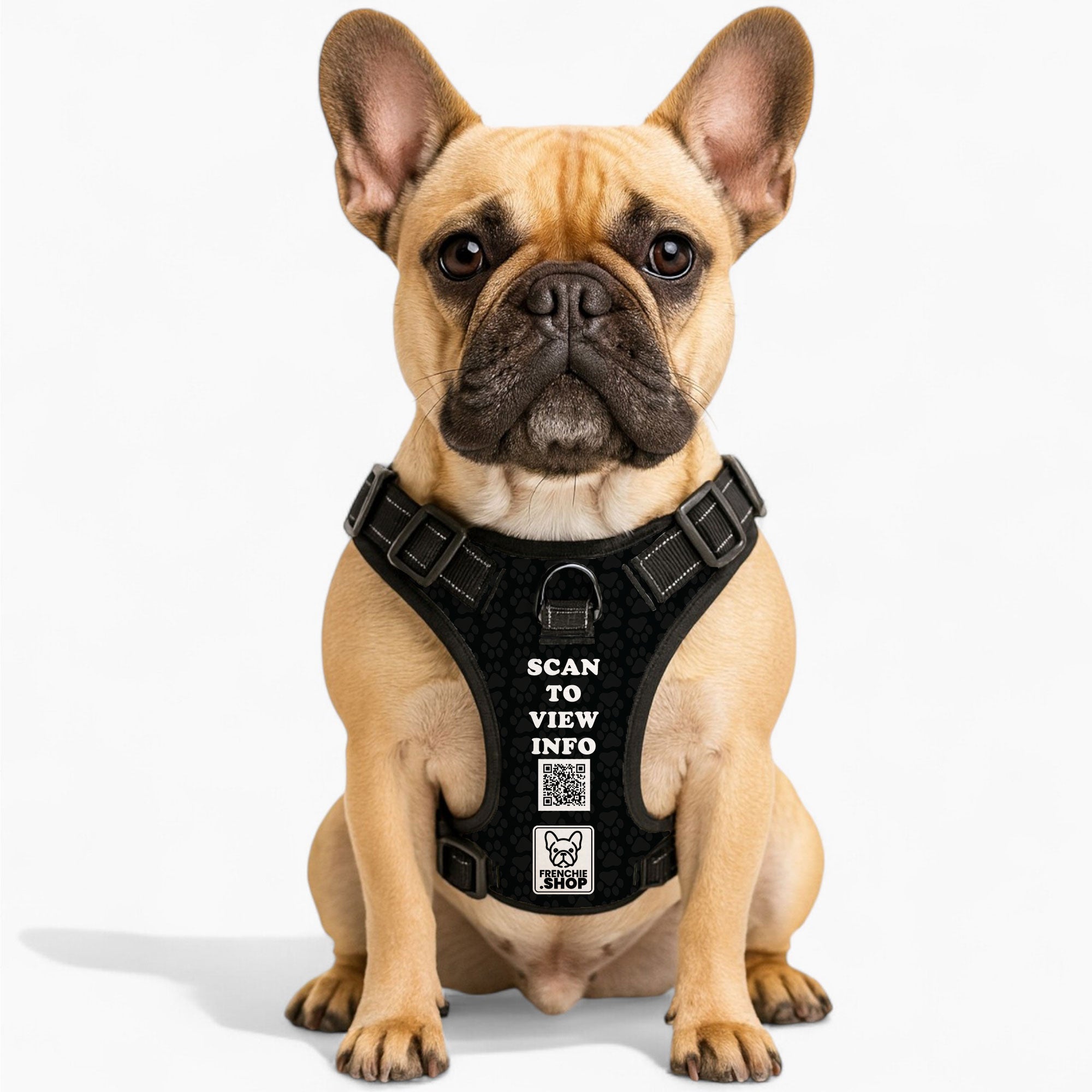 Soft Gus - Personalized No-pull French Bulldog Dog Harness for Daily Use