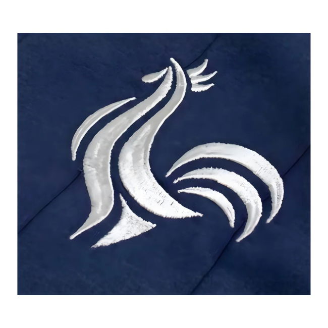 France Special Edition Home Jersey France #99